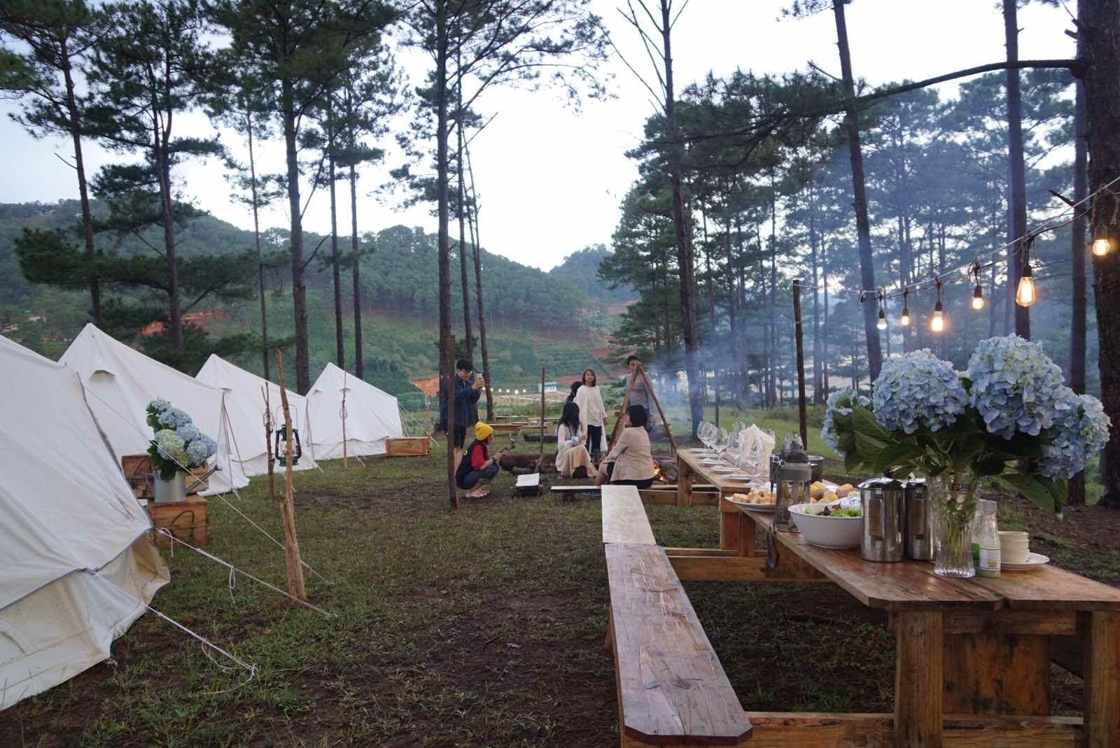 Twin Beans Farm - địa điểm camping Đà Lạt