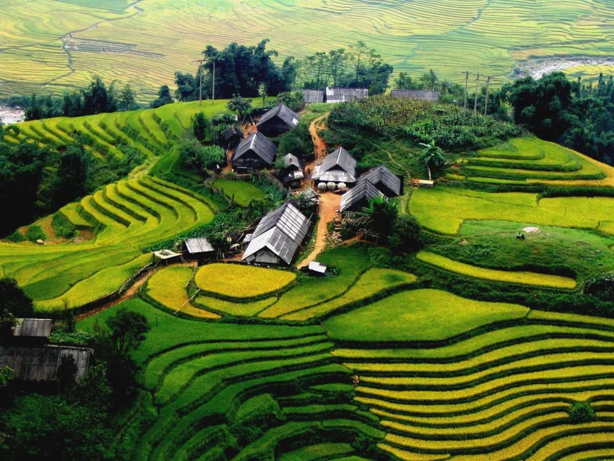 Khung cảnh những thửa ruộng bậc thang Sapa tháng 6
