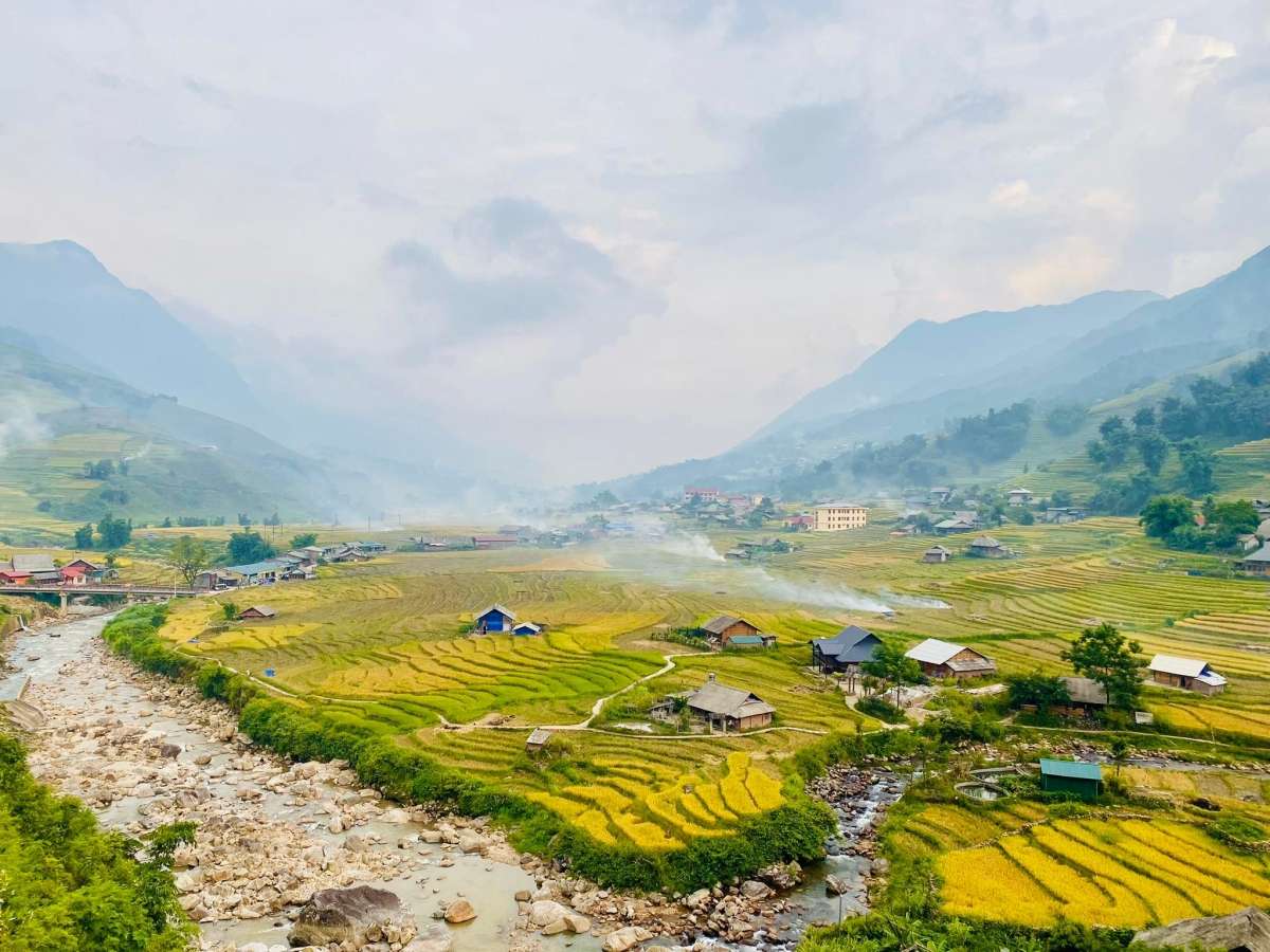 Ruộng lúa Sapa