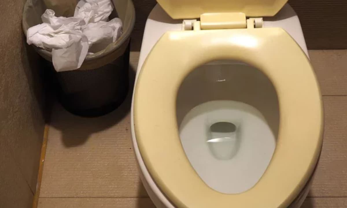 Ố vàng trên nắp bồn cầu