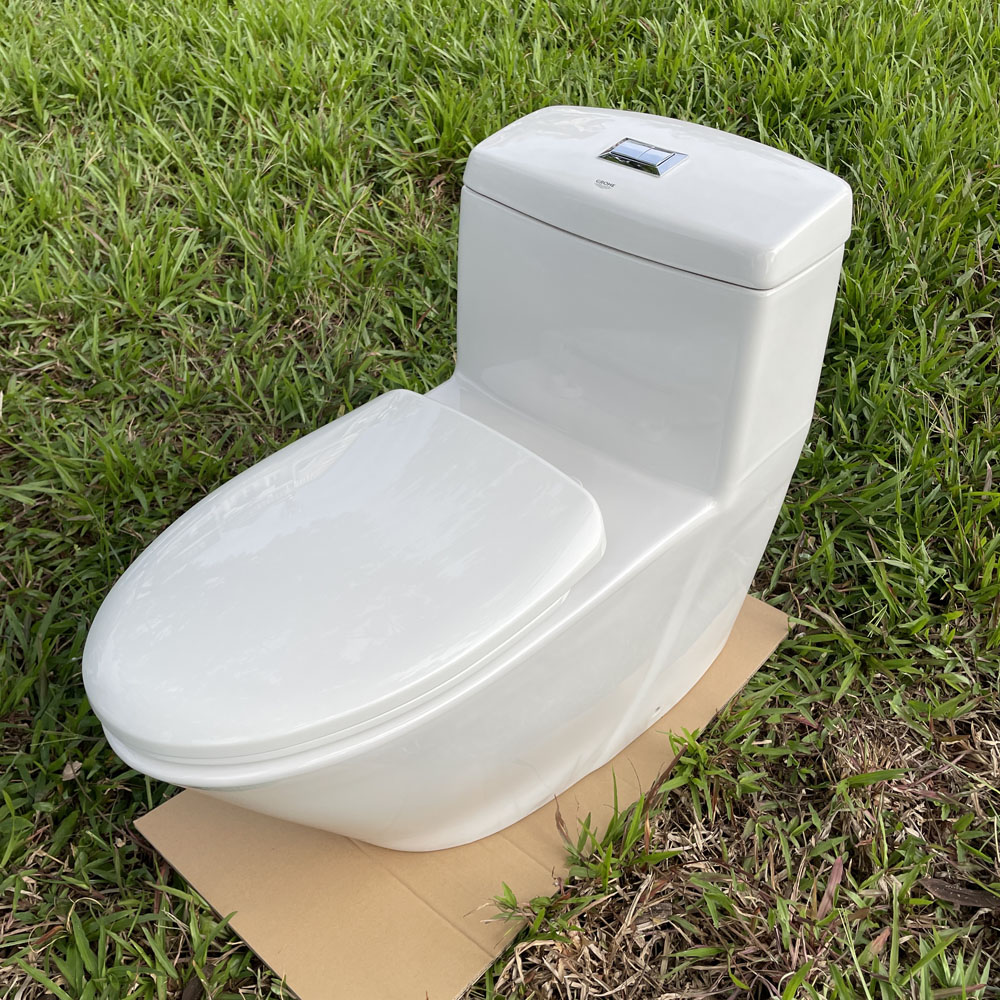 Bồn cầu 1 khối Grohe Projectline