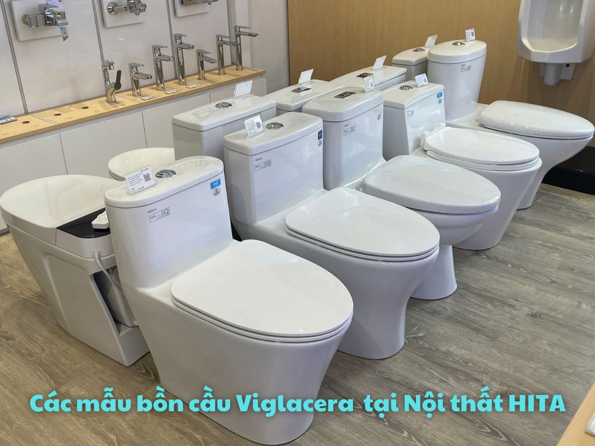 Bồn cầu thương hiệu Việt cho người Việt - Viglacera