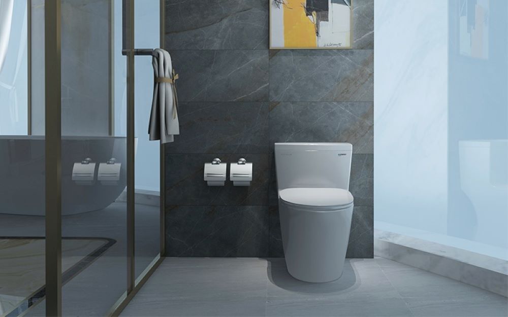 Bồn cầu Platinum