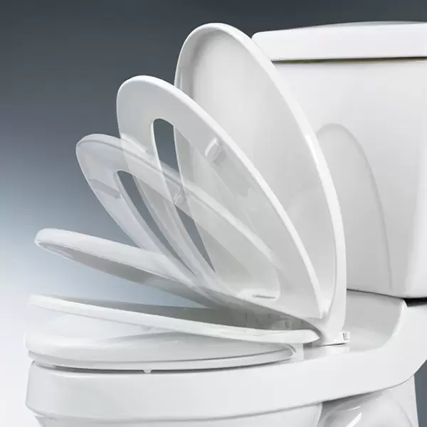 Ngày nay nắp thường được nâng cấp thành nắp đóng êm 