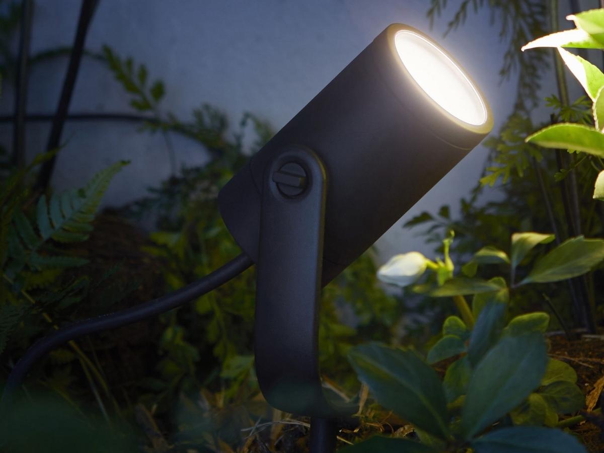 Đèn LED chiếu điểm Philips chiếu sáng tập trung với góc chiếu thấp hơn 38º, giúp làm nổi bật vật chủ hơn