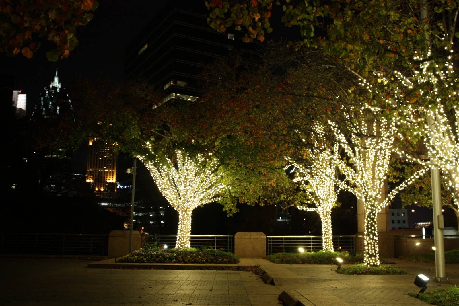 Trang trí vườn ngoài trời bằng đèn LED dây 