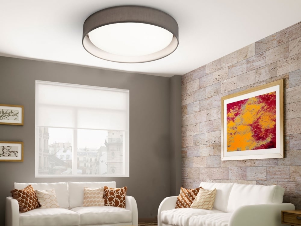 Đèn ốp trần LED là dòng sản phẩm phù hợp với những gia đình thích phong cách hiện đại, tối giản