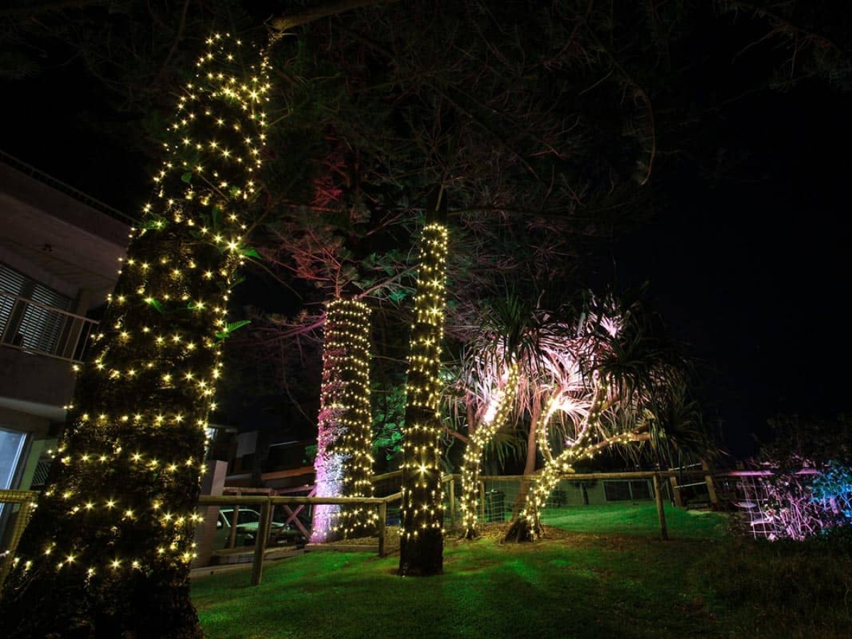 Bọc thân cây trong vườn bằng đèn dây là một cách trang trí tuyệt vời cho khu vực sân vườn 