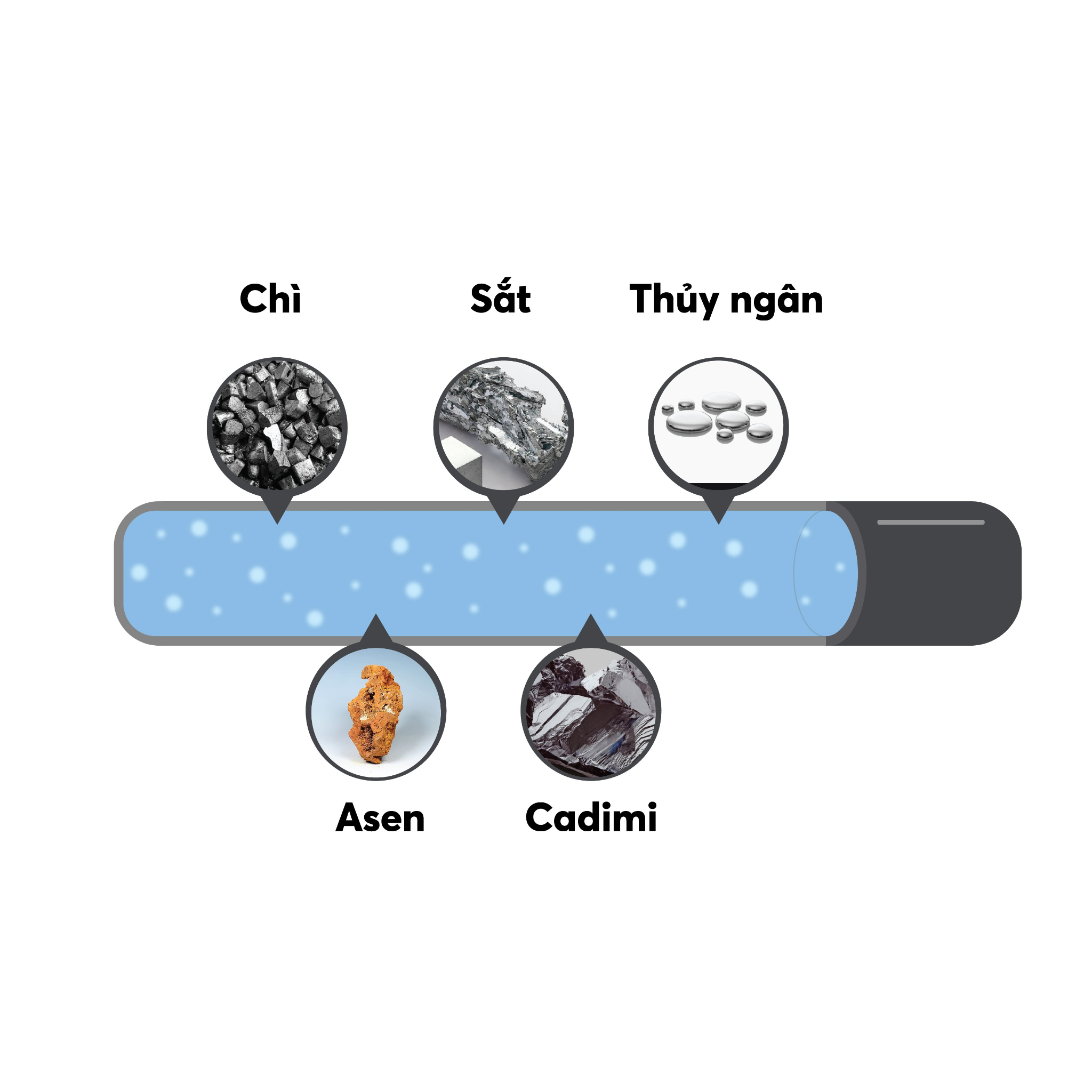 Thành phần độc tố trong nước máy sinh hoạt