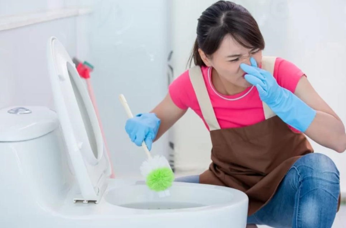 Có nhiều lý do khiến bồn cầu có mùi hôi trong quá trình sử dụng