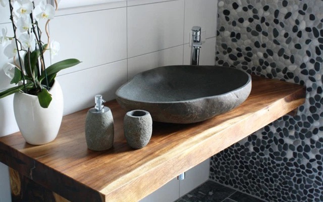 oa lan là một trong những họ hoa lớn nhất với hơn 20.000 giống khác nhau. Chúng sẽ phát triển tốt, đẹp lên ở môi trường nóng ấm