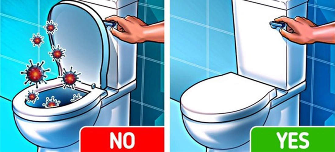 Đậy nắp bồn cầu giúp hạn chế vi rút, vi khuẩn gây bệnh