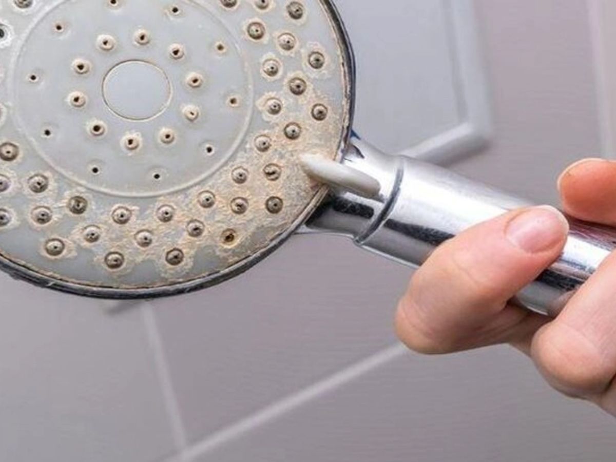 Sen tắm bị b&aacute;m cặn v&ocirc;i