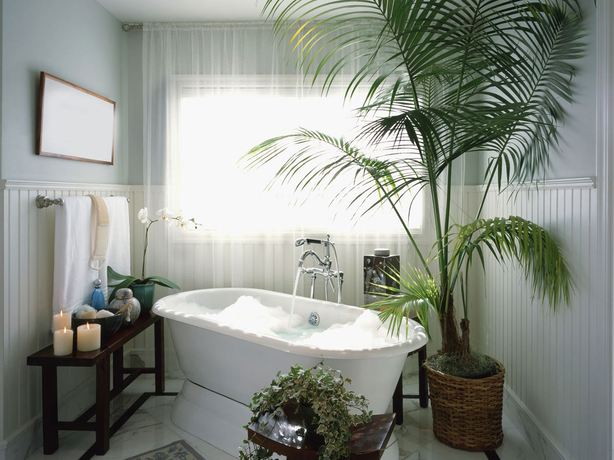 Thiết kế xanh luôn được ưa chuộng bởi nguồn năng lượng và sức sống tuyệt vời