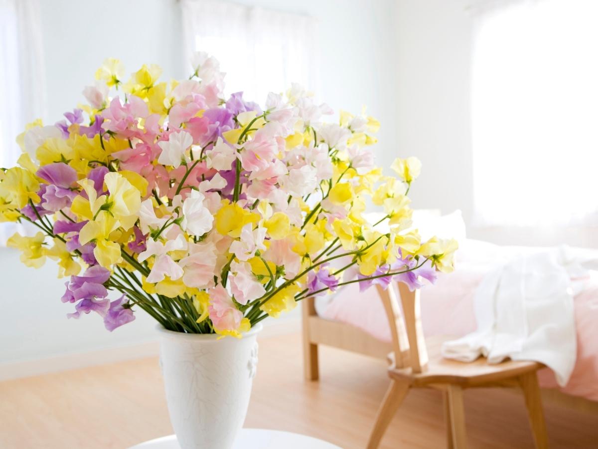 Khám phá những cách khử mùi phòng ngủ hiệu quả, dễ dàng thực hiện