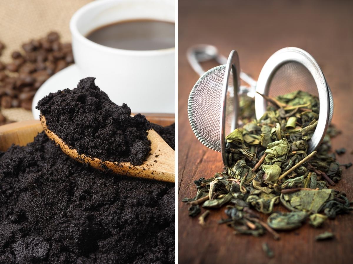 Khắc phục phòng ngủ có mùi ẩm mốc với bã cà phê và bã trà