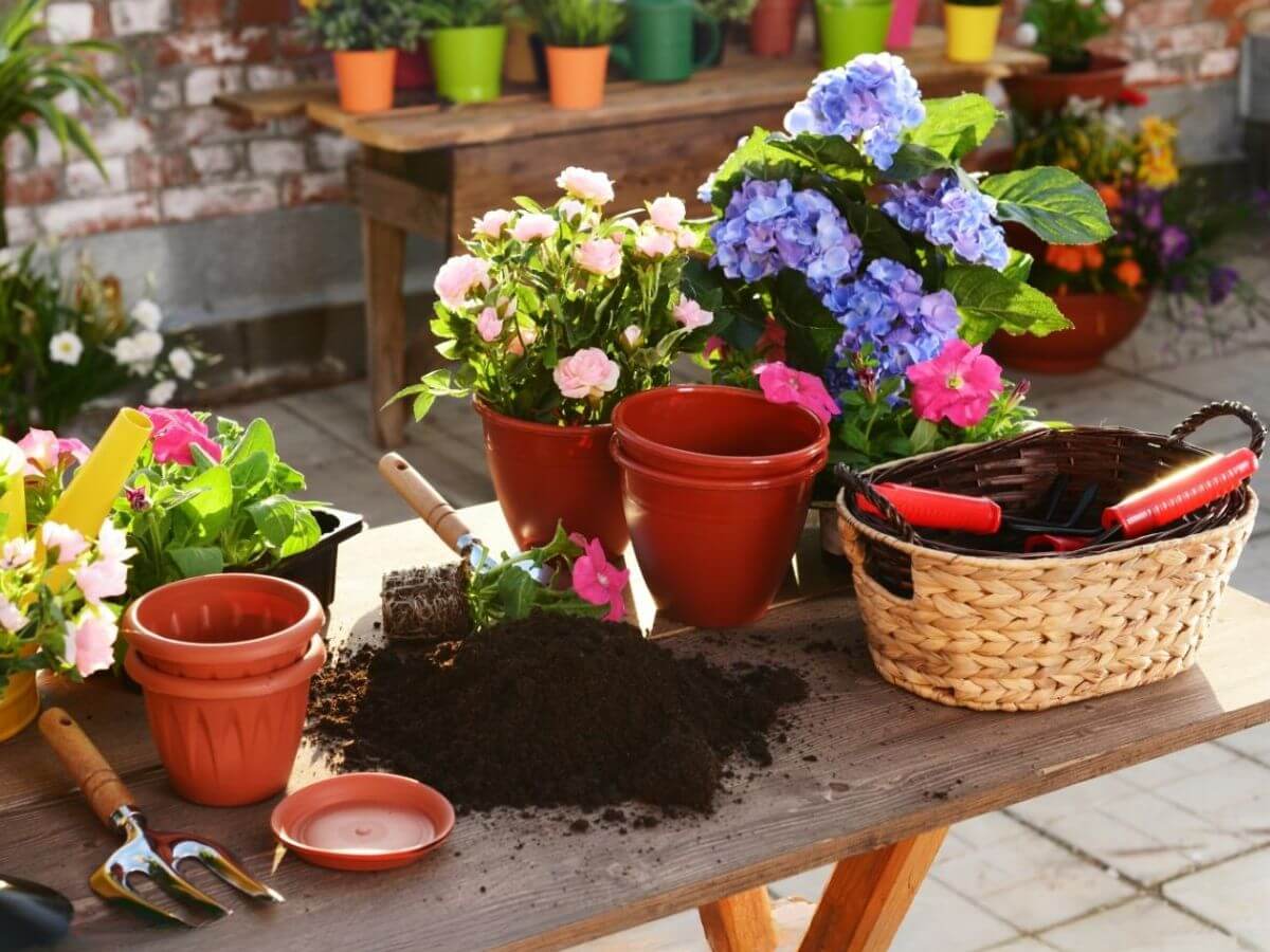 Những yếu tố tạo n&ecirc;n s&acirc;n thượng si&ecirc;u thư gi&atilde;n 1