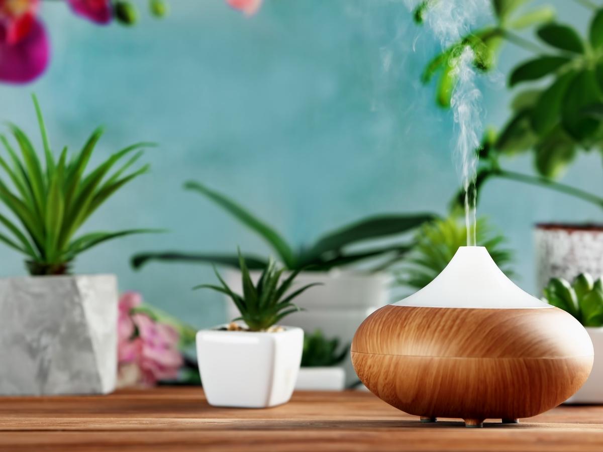 Xông tinh dầu để khử mùi hôi cống trong nhà vệ sinh