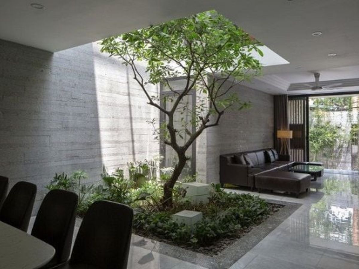 Trang tr&iacute; tiểu cảnh c&acirc;y xanh ngay trong nh&agrave; cực ấn tượng