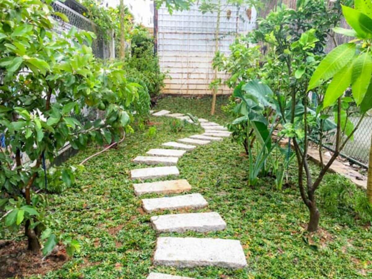 Nh&agrave; vườn nhỏ mang đến khả năng tự cung cấp thực phẩm sạch cho gia đ&igrave;nh