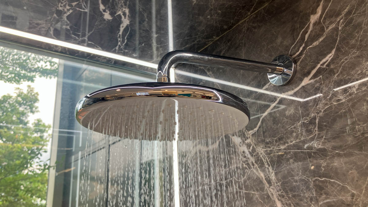 Đầu sen phun mưa American Standard WF-3097 (WF3097) (1030970001) - 6