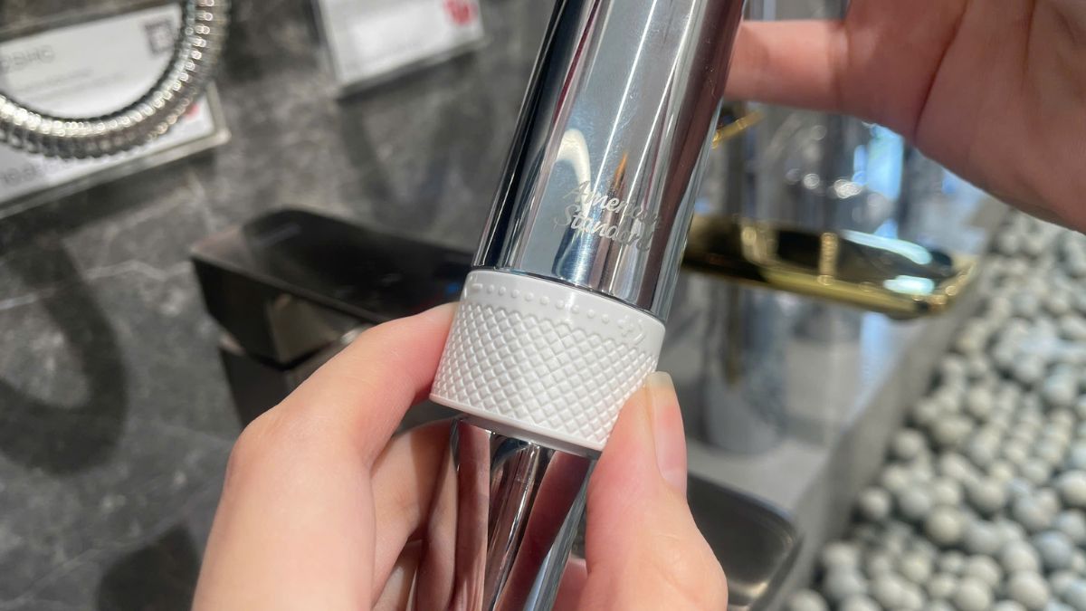 Bộ tay sen tắm American Standard WizFlo Duo Flex 1352630000