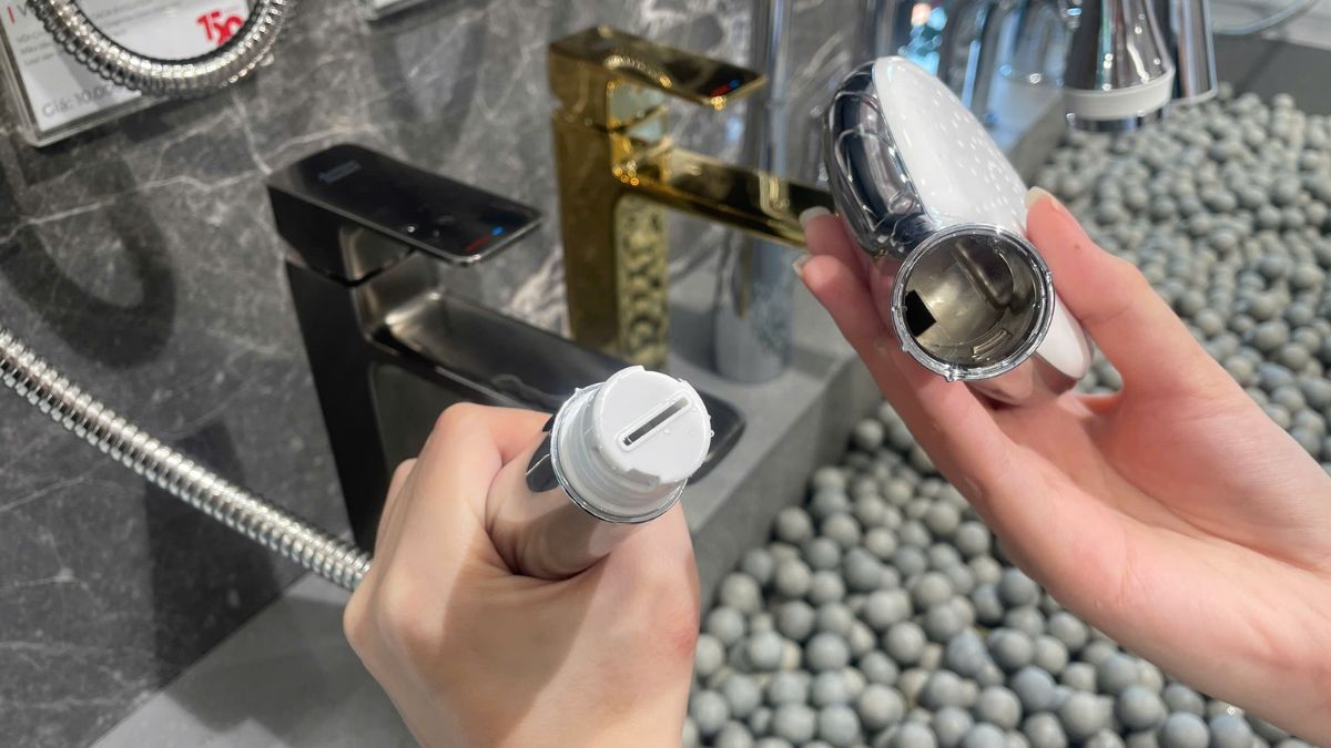 Bộ tay sen tắm American Standard WizFlo Duo Flex 1352630000