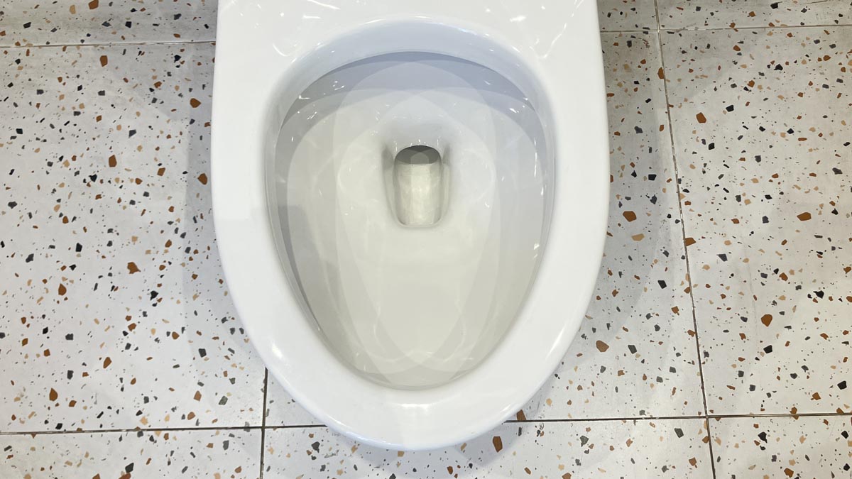 Bồn cầu 1 khối American Standard VF-1808T (VF1808T) nắp êm dòng Acacia Evolution