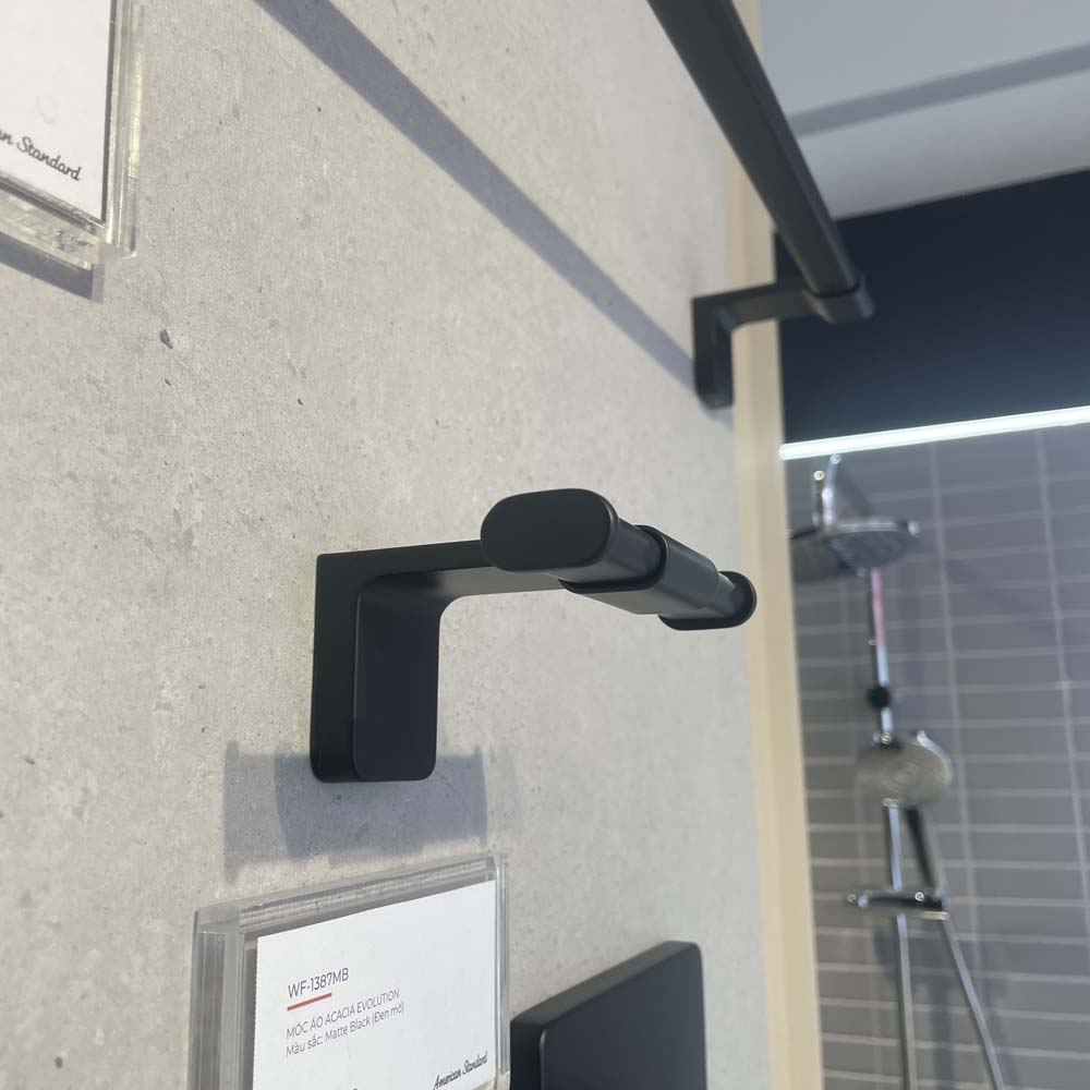 Móc áo Acacia Evolution American Standard WF-1381BHG (WF1381BHG)