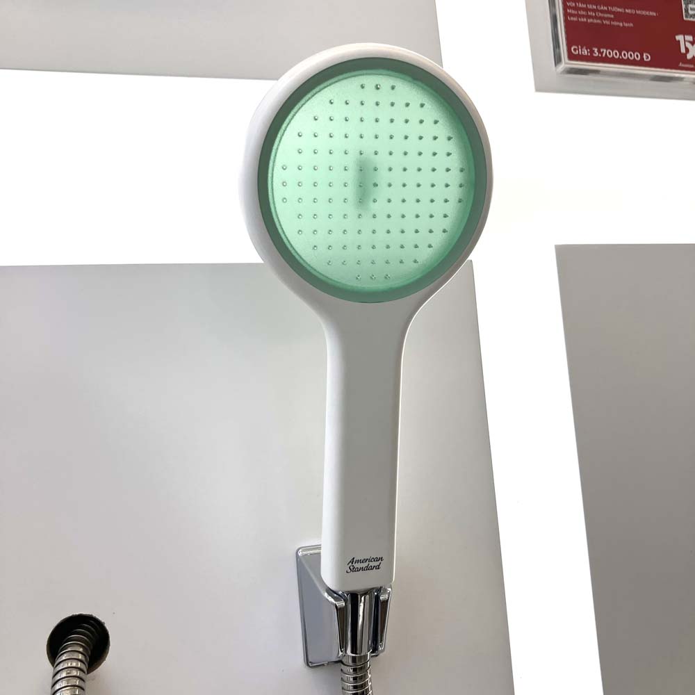 Bộ tay sen tắm và gác sen American Standard Genie FFASS506