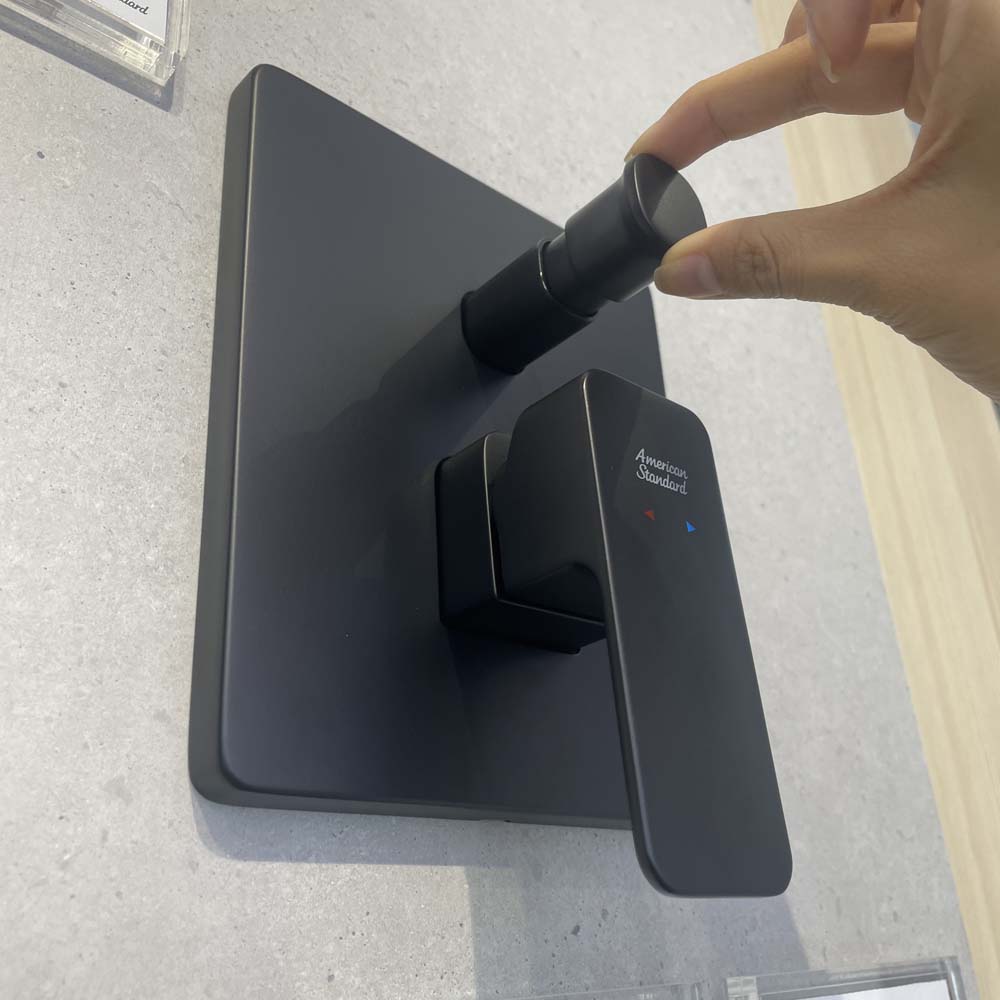 Sen tắm âm tường American Standard Acacia WF-1321 (WF1321)