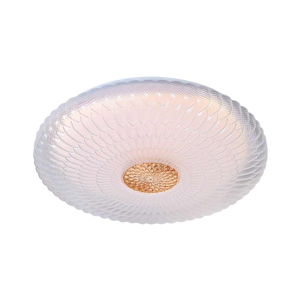 Đèn LED ốp trần nổi Anfaco 067 36W