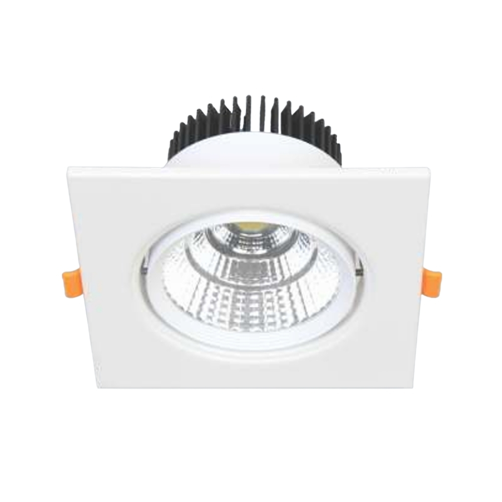 Đèn LED downlight âm trần Anfaco 318/1 LED 12W