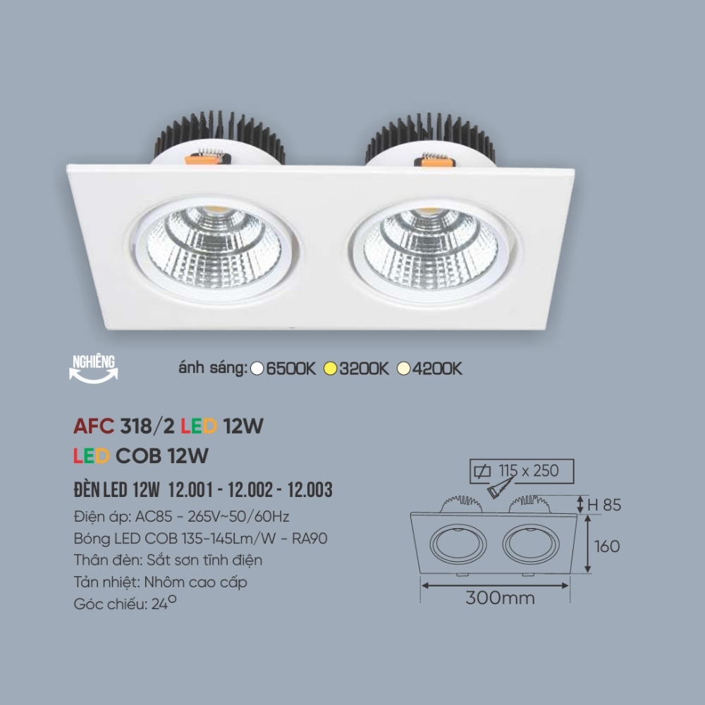 Đèn LED downlight âm trần đôi Anfaco 318/2 LED 12W