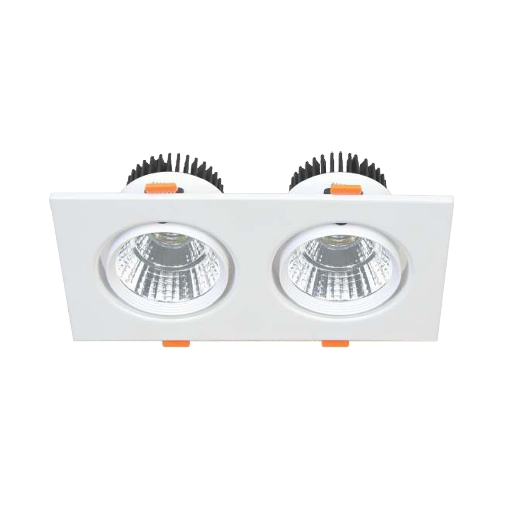 Đèn LED downlight âm trần đôi Anfaco 318/2 LED 7W