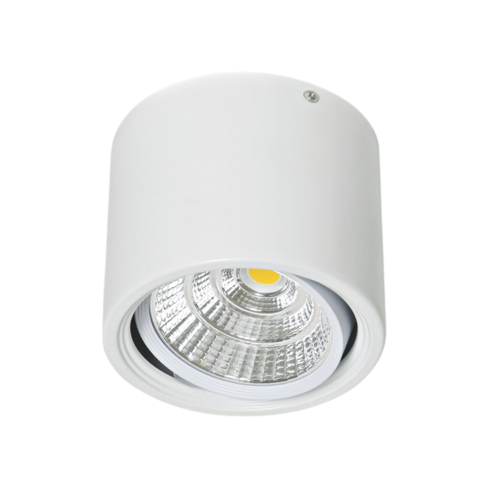 Đèn LED downlight nổi Anfaco 647 T LED 12W