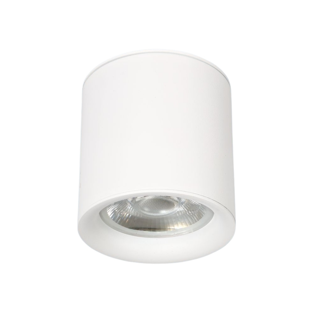 Đèn LED downlight nổi Anfaco 658 T LED 10W