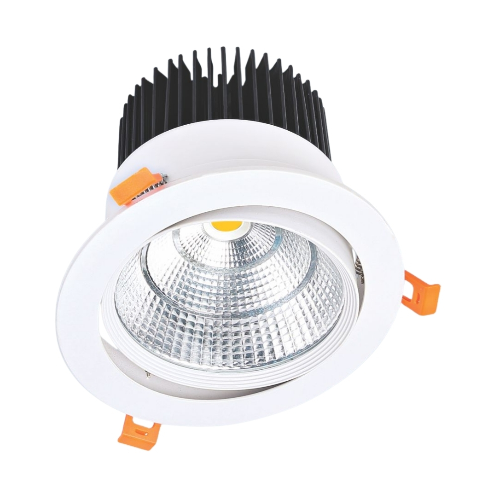 Đèn LED downlight âm trần Anfaco 734 LED 20W