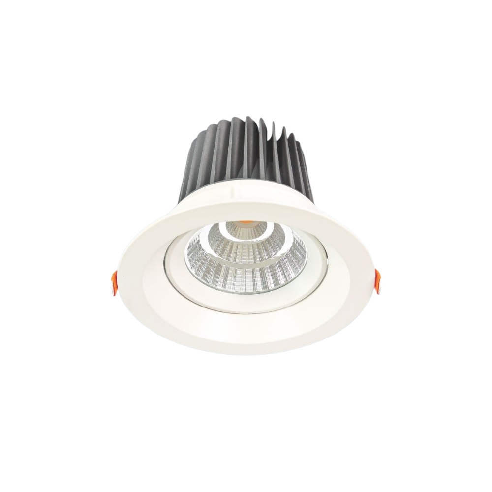 Đèn LED downlight âm trần Anfaco 741 LED 10W
