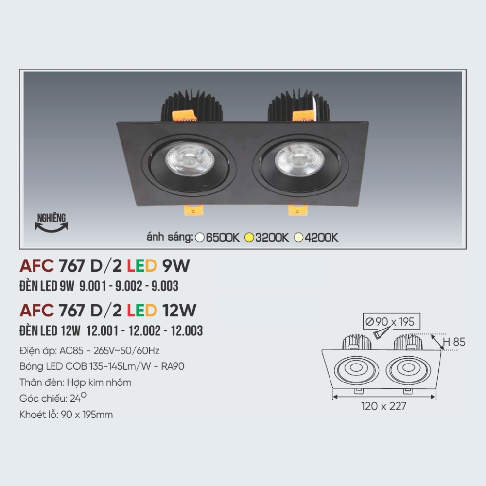 Đèn LED downlight âm trần đôi Anfaco 767 D/2 LED 12W