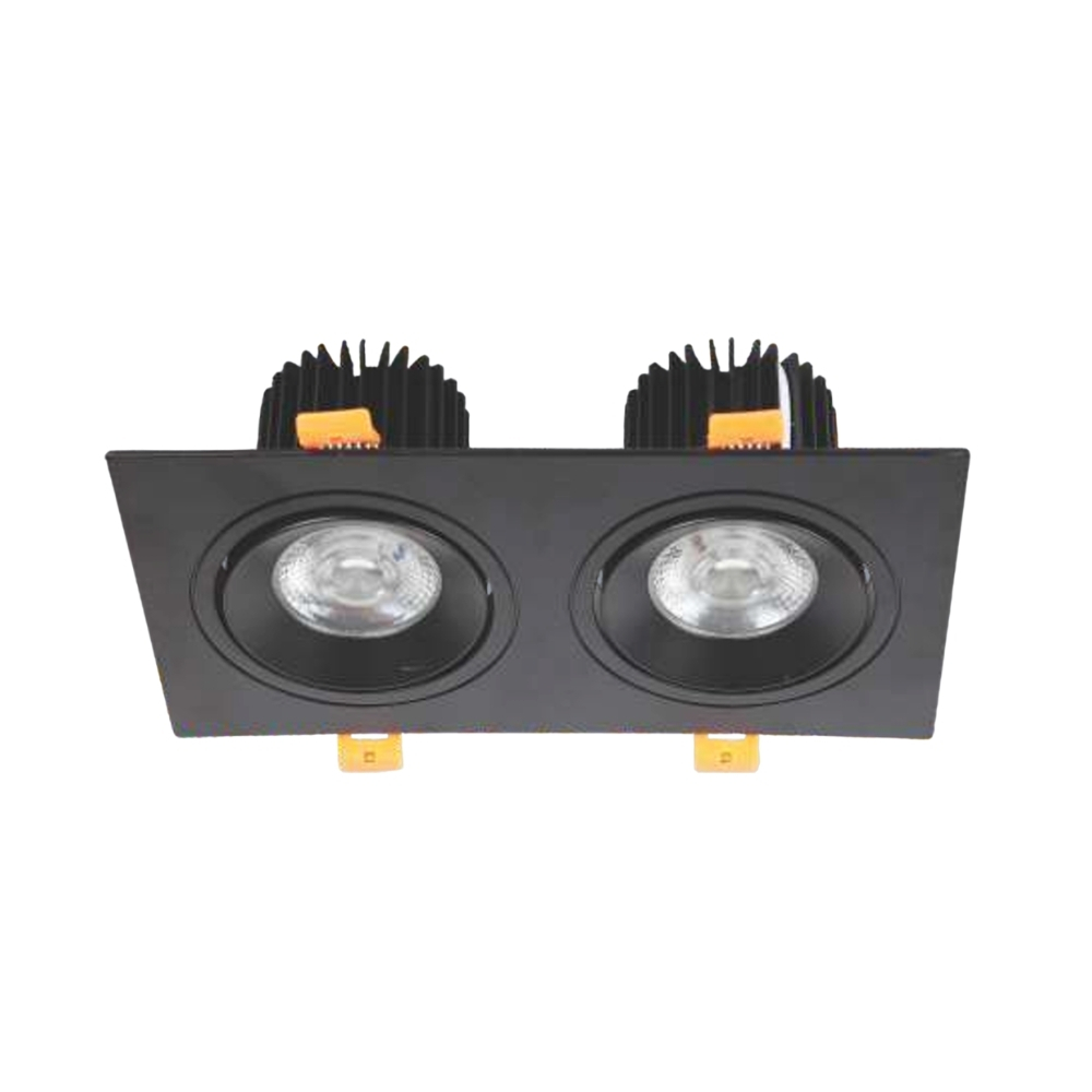 Đèn LED downlight âm trần đôi Anfaco 767 D/2 LED 9W