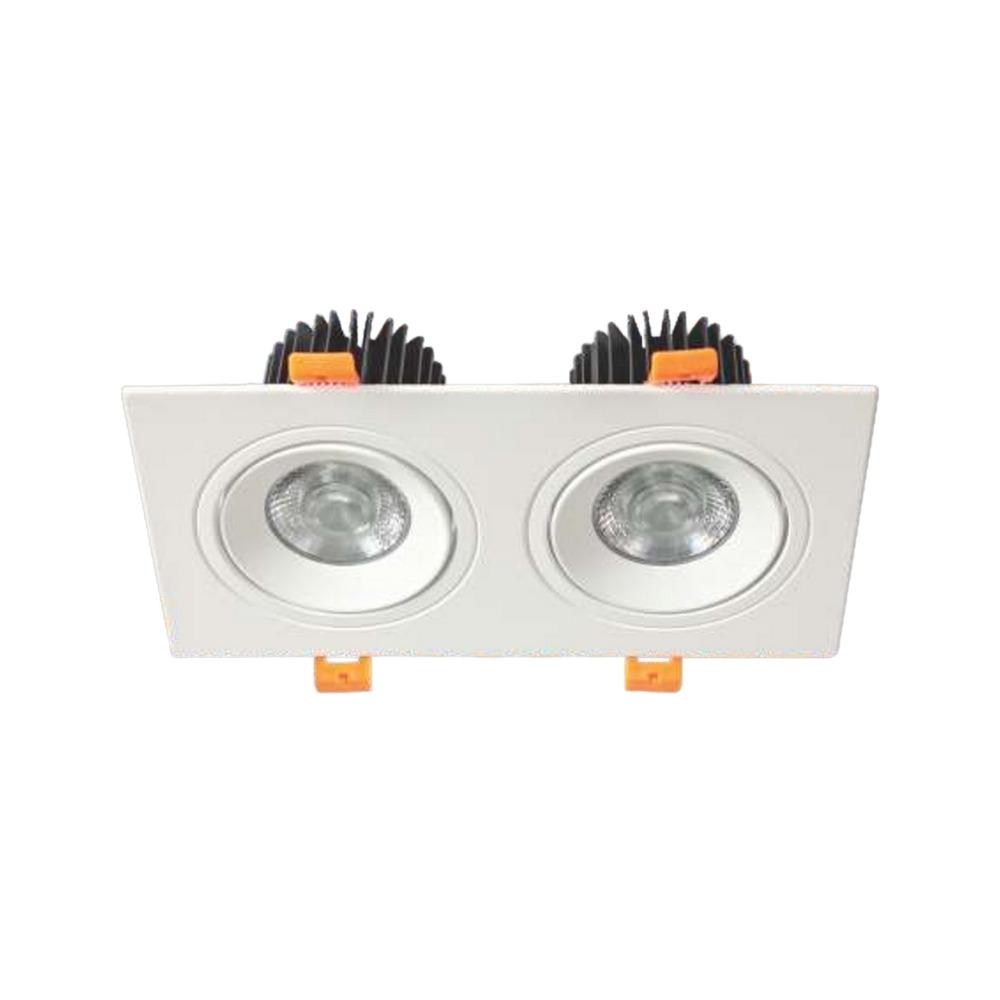 Đèn LED downlight âm trần đôi Anfaco 767 T/2 LED 12W