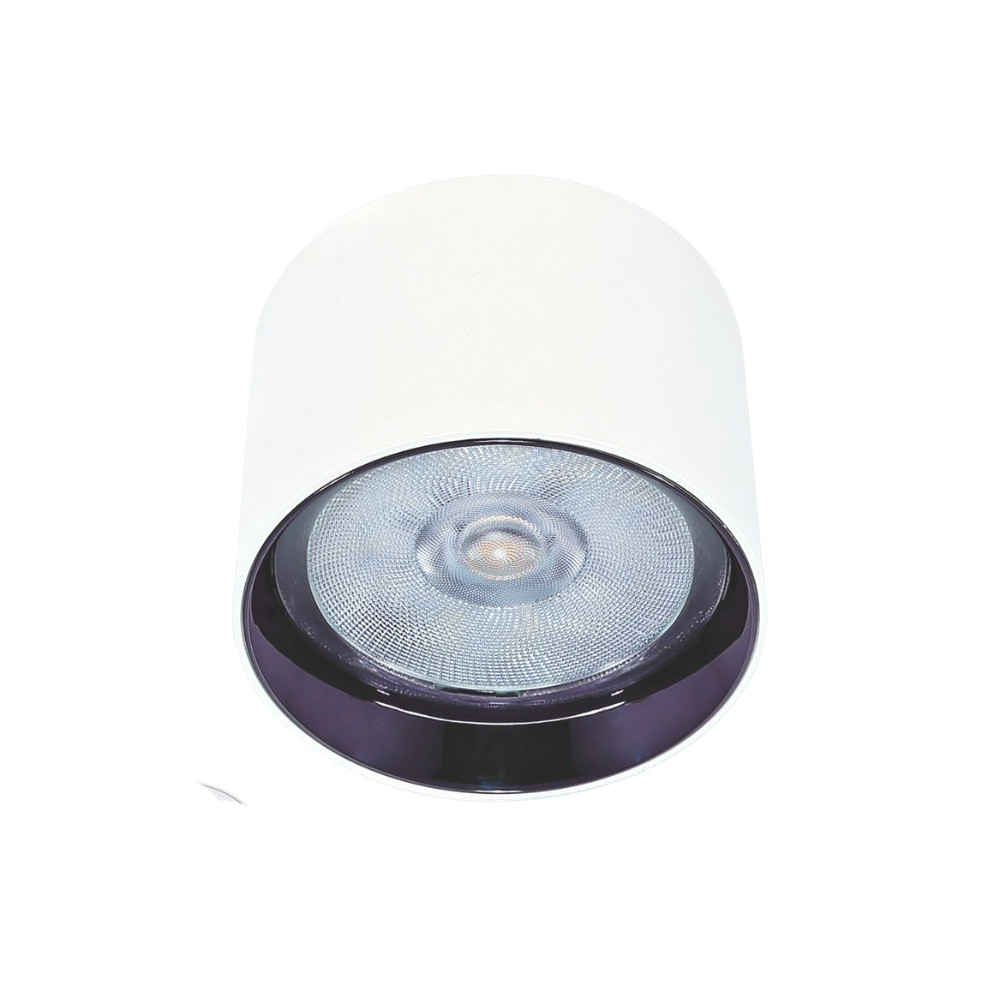 Đèn LED downlight nổi Anfaco 659 20W