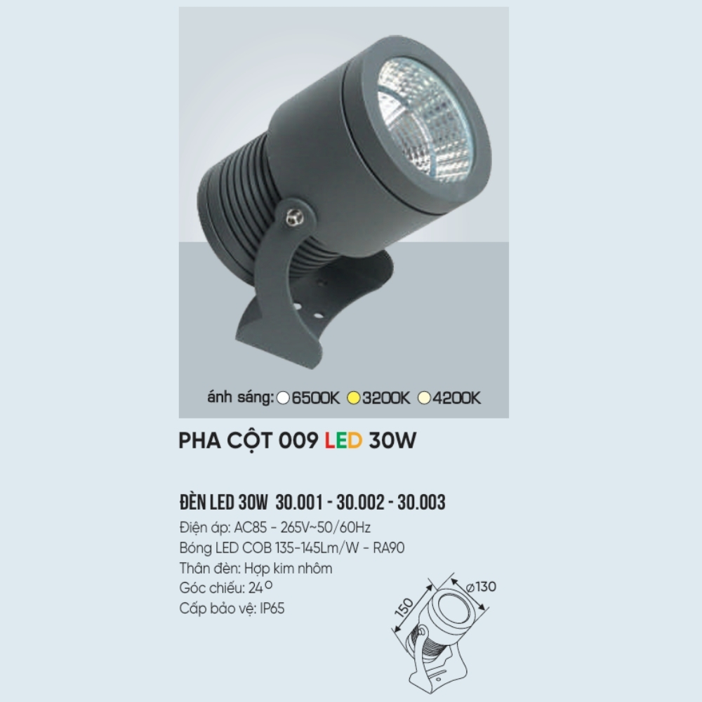Đèn LED pha rọi cột Anfaco PHA CỘT 009 LED 30W