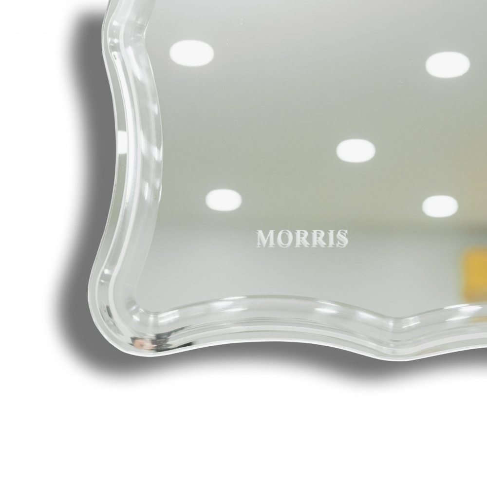 Gương phòng tắm 60x80cm ATMOR DF-6080 (DF6080)