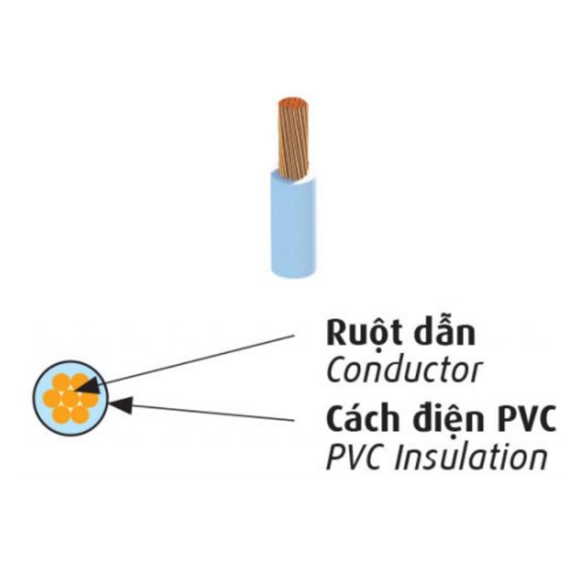 Dây điện lực hạ thế CV - 0,6/1kV cách điện PVC không chì 75oC - CV/LF Theo AS/NZS 5000.1 Cadivi