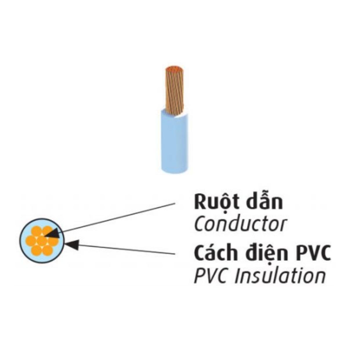 Cáp điện lực hạ thế Cadivi PVC CV/LF - 600V không chì 75ºC