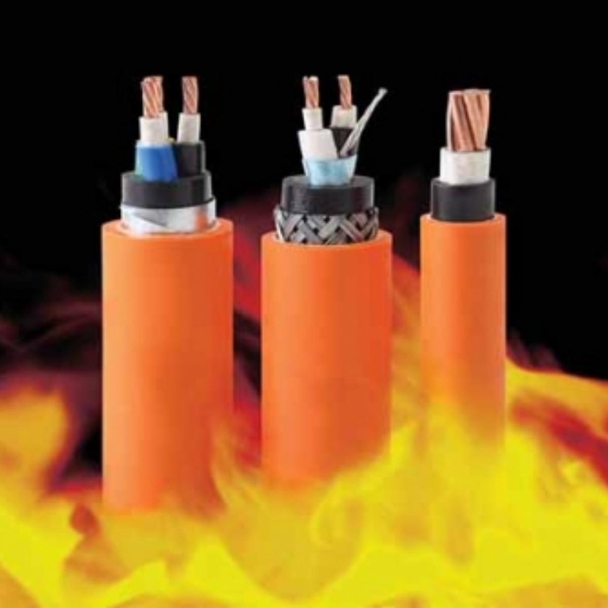 Cáp điện lực hạ thế chống cháy ít khói không halogen Cadivi CXE/FR-LSHF - 0.6/1kV 2 lõi