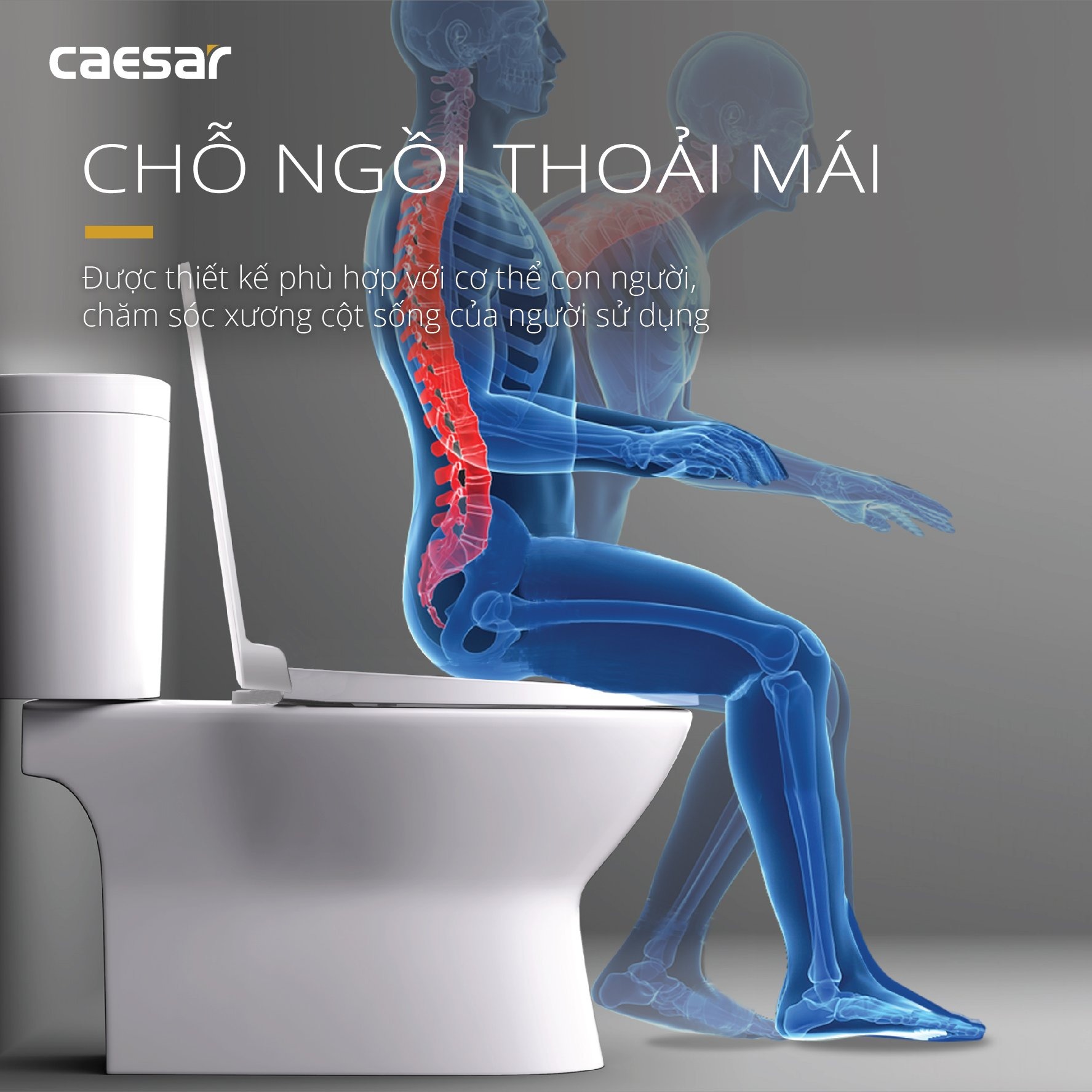 Bồn cầu 2 khối Caesar CD1320 nắp đóng êm