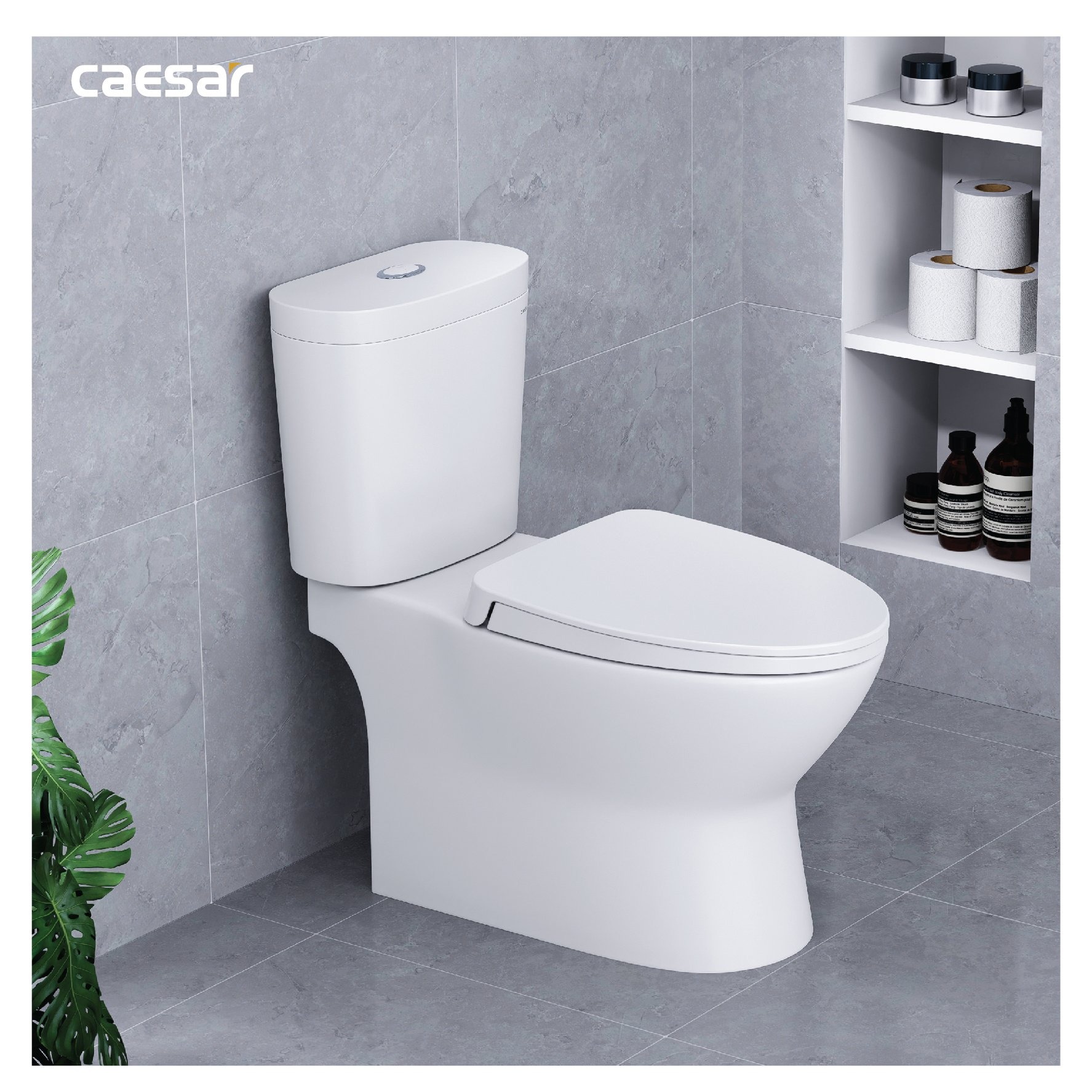 Bồn cầu 2 khối Caesar CD1320 nắp đóng êm